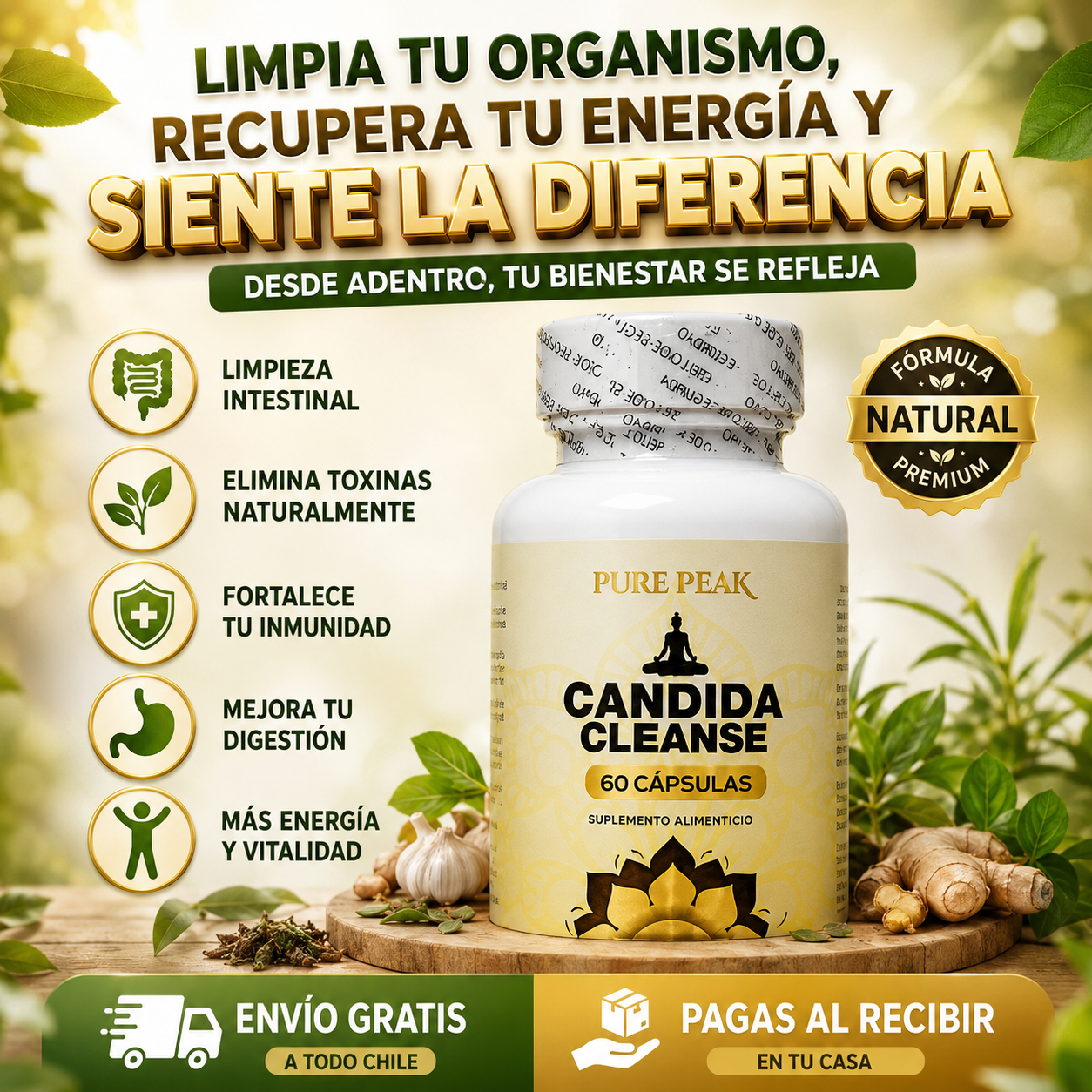 Candida Cleanse